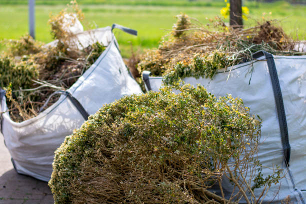 Best Office Junk Removal  in El Paso De Robles, CA